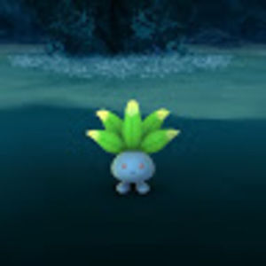 Meet your Posher, Lazo